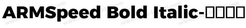 ARMSpeed Bold Italic字体转换